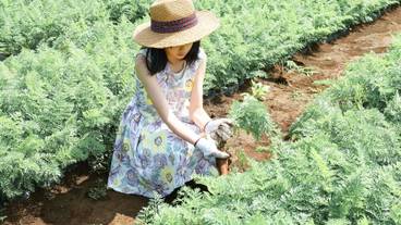 子供向けアクティビティ / 10