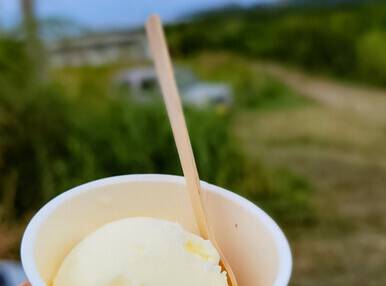 石垣島ミルククラウン