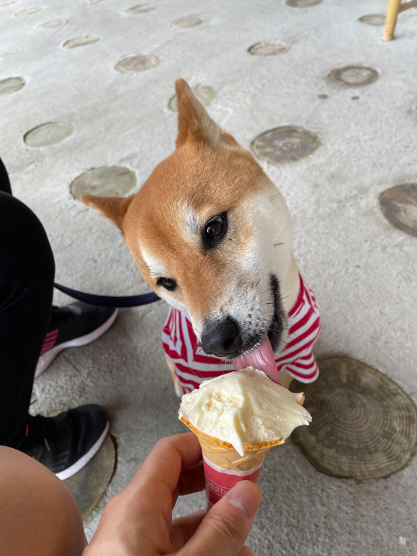 pinky.yuki_go.kam2さんの写真 / 2