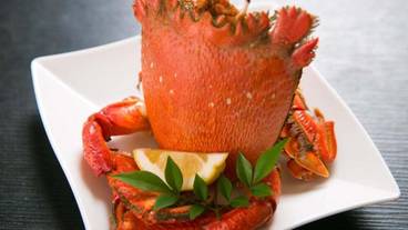 レストラン / 16