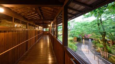 館内廊下 / 6