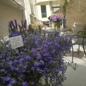 Hotel Blue Empire in 新宿（東京都 アパートメント） / 2