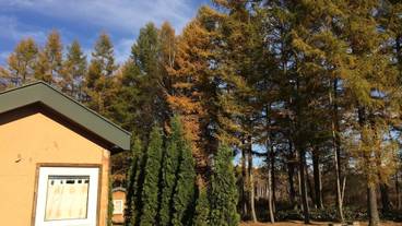 施設の敷地 / 19