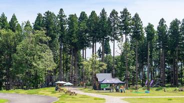 子供向けアクティビティ / 38