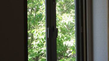 部屋からの景観 / 36