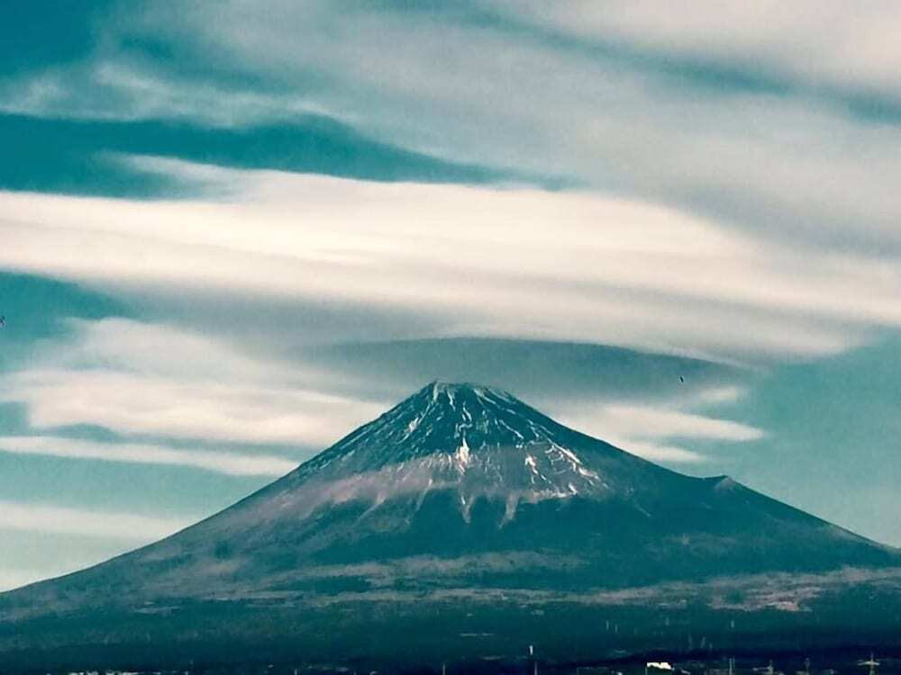 施設からの眺望