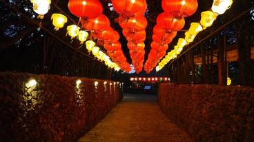 施設からの眺望 / 29