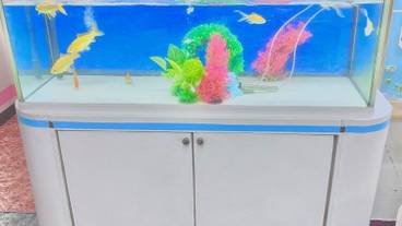 施設内の設備 / 15