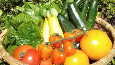 食事・飲み物 / 6