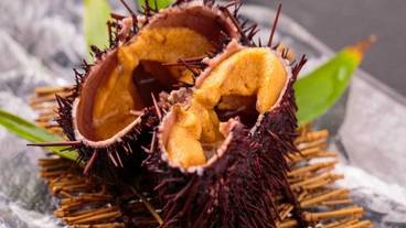 食事・飲み物 / 8