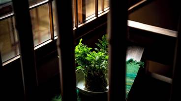 施設内の設備 / 11