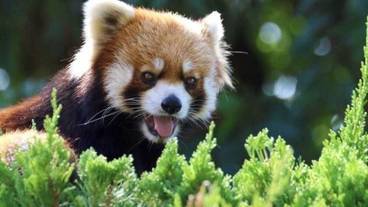 観光スポット / 3