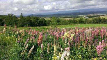 施設の敷地 / 27