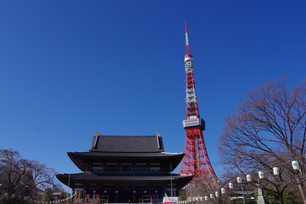 シンボルタワーの1つ「東京タワー」1481681
