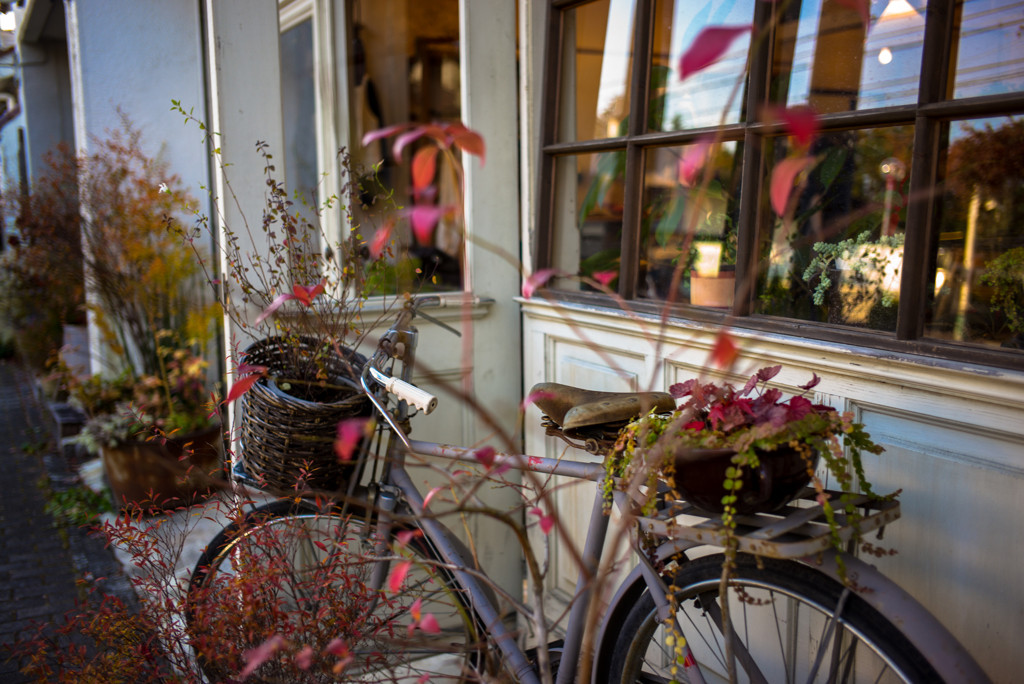 冬の季節もステキな「軽井沢」への旅3509426