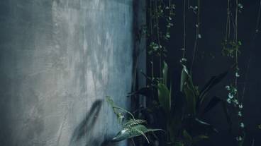 テラス / パティオ / 19