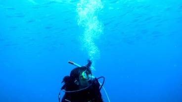 フィットネス設備 / 4