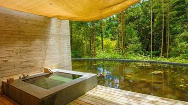 金乃竹 塔ノ澤(キンノタケ トウノサワ) / 11