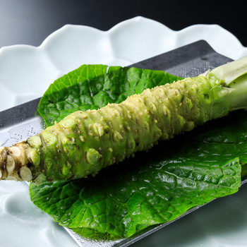 ユニークで趣ある温泉に入れちゃう！レトロ感満載の古民家宿3392568