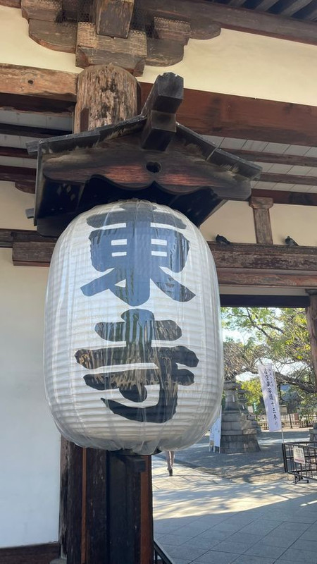 sakichoikasさんの写真 / 3