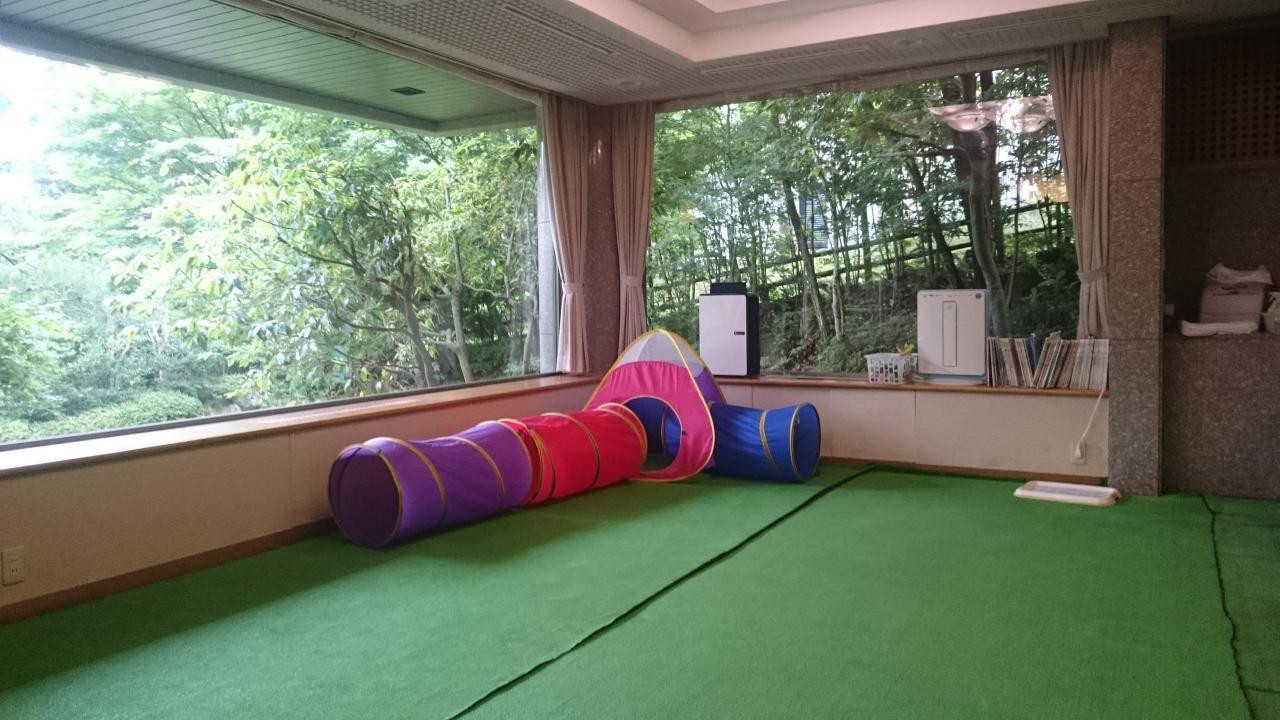 雨の日でも遊べる♪室内ドッグラン3925055