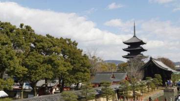 ランド ビュー / 7