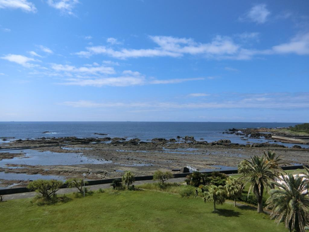 mnr619trsさんの写真 / 1