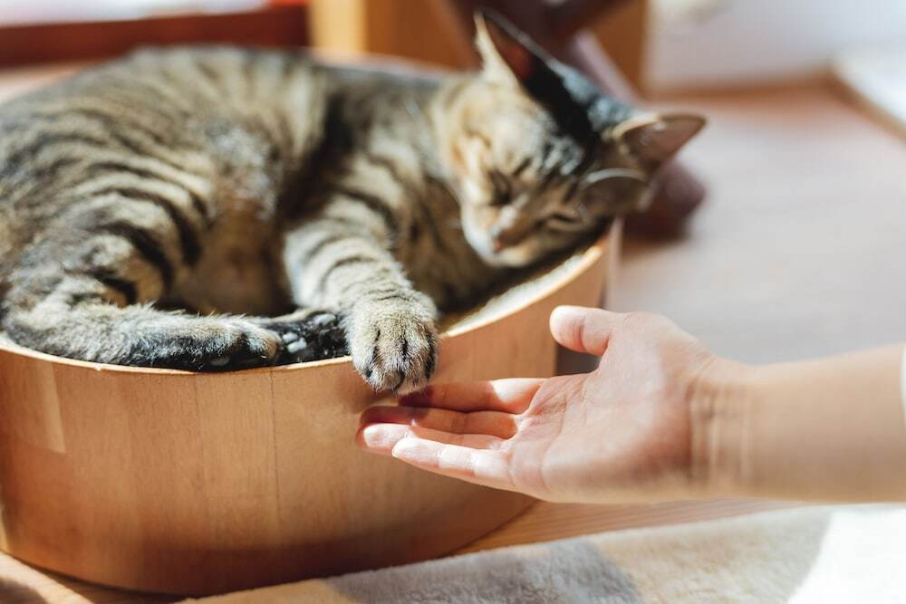 部屋からの景観