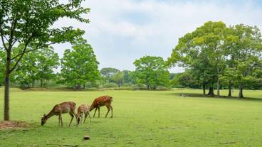 観光スポット / 8