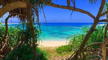 シティ ビュー / 14