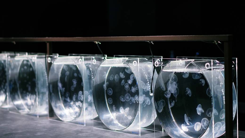 水族館 館内水槽② / 3