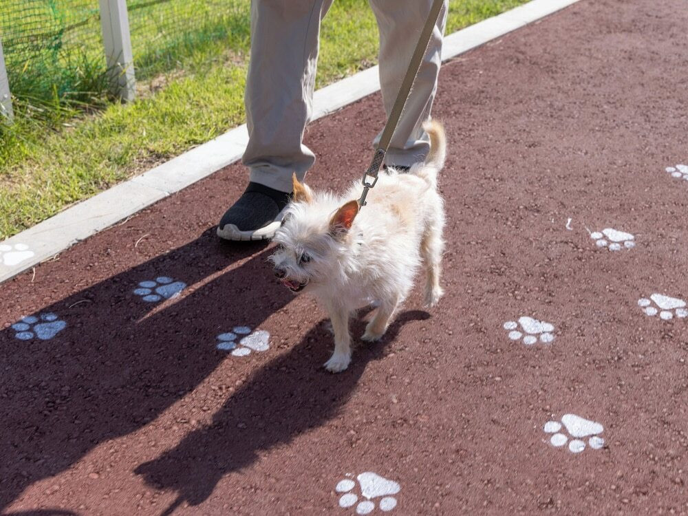 ペット用設備・サービス