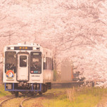 【長崎】心満たされる列車の旅。松浦鉄道で巡りたい「一人旅スポット」7選