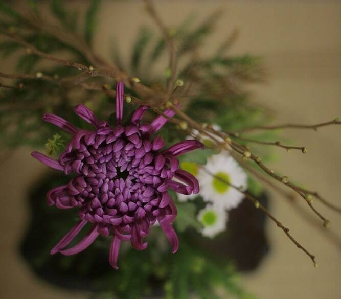 季節の花 / 1
