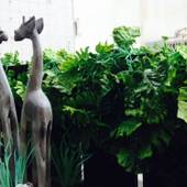 ロハスヴィラ（沖縄県 別荘・ヴィラ・コンドミニアム） / 2