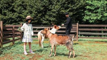 子供用の遊び場 - 屋外 / 7