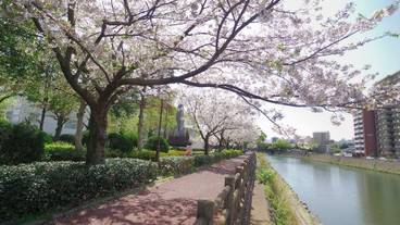 施設からの眺望 / 10