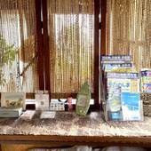 Suite terrace 石垣島（沖縄県 ペンション） / 5