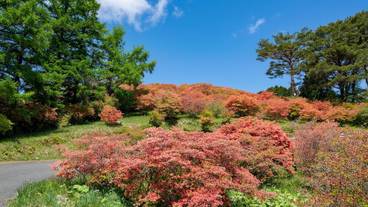 観光スポット / 12