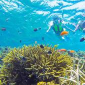 西表島ホテル by 星野リゾート（沖縄県 リゾートホテル） / 4