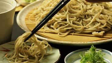 食事・飲み物 / 1