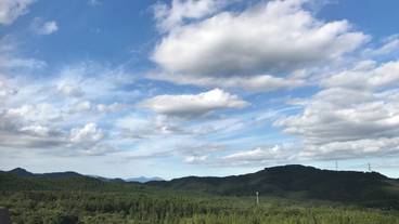 部屋からの景観 / 23