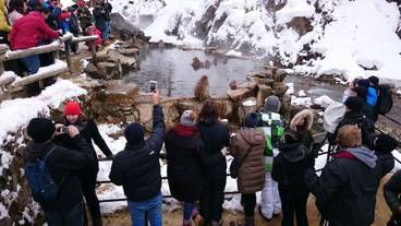 観光スポット / 4