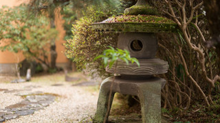 お部屋タイプおまかせ 全館和室 バストイレ付き