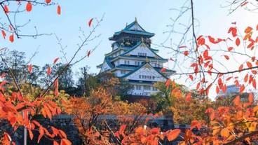 観光スポット / 11