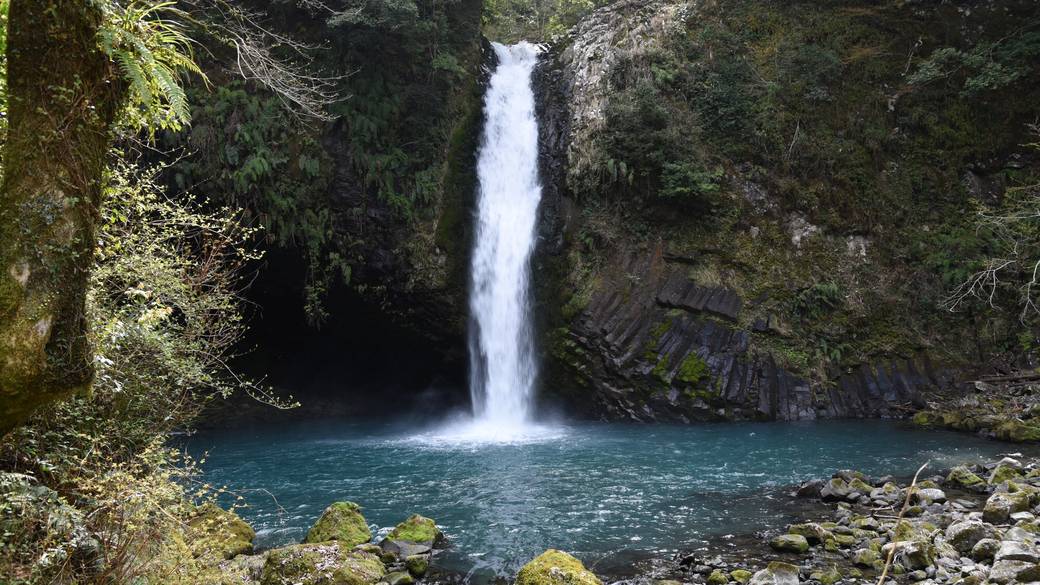伊豆の自然を感じながら
のんびりドライブ
 / 3