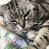 ゲストハウス バンヌッフ（新潟県 ゲストハウス・ホステル・ドミトリー） / 3