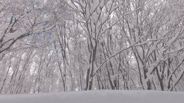 施設からの眺望 / 37