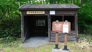 マウンテン ビュー / 17