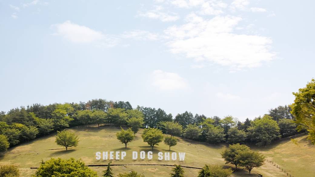関東有数の巨大牧場で
自然と動物に癒される / 2